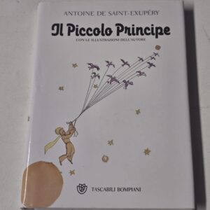 15602. Libro "Il piccolo principe"